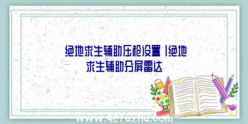 「绝地求生辅助压枪设置」|绝地求生辅助分屏雷达